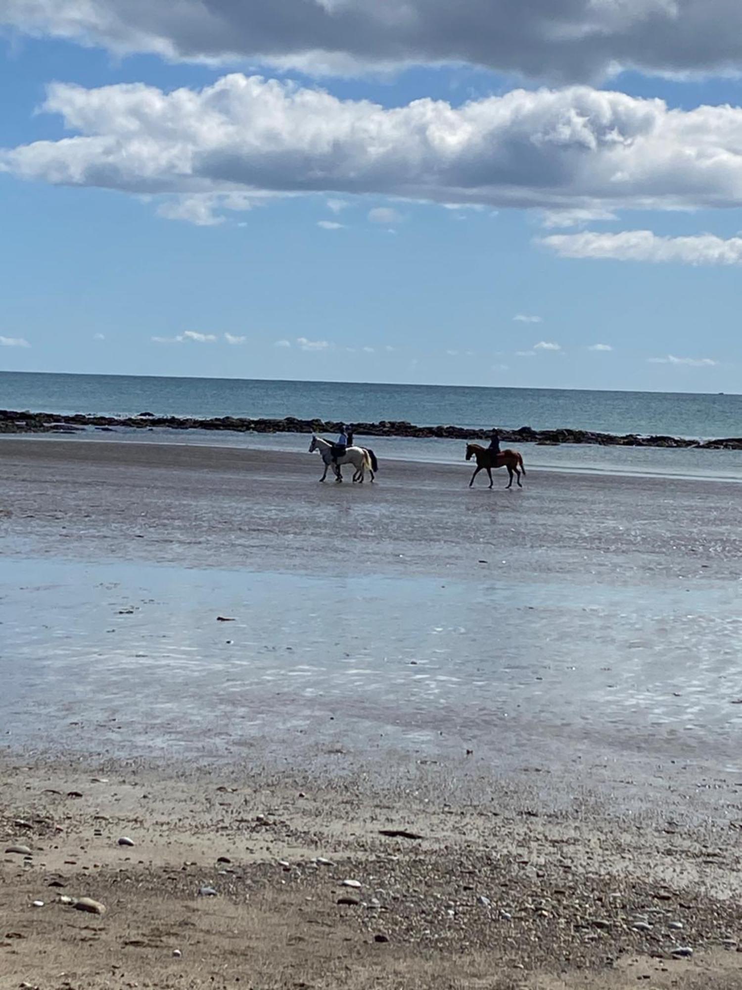 Casa vacanze Sanctuary Cork